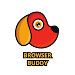 Browser Buddy: VPN Browser 2 on router